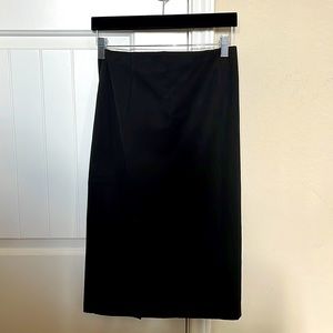 Express Pencil Skirt